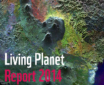raportul planeta vie  2014 